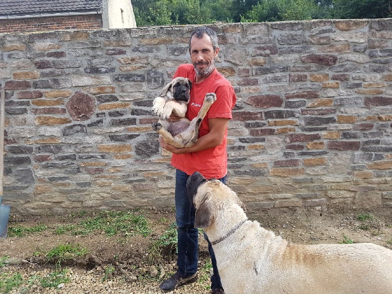 Chiots Jolia x Inti dans leurs nouvelles famille!!!